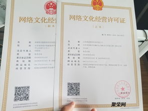 山东网络文化经营许可证办理指南 流程、条件与注意事项
